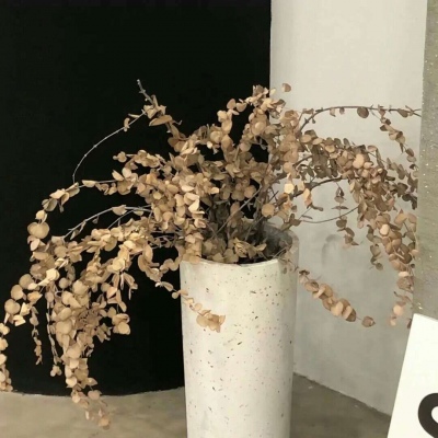 Furry插画人物结合福瑞群